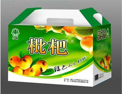 水果长坡镇包装设计4.jpg